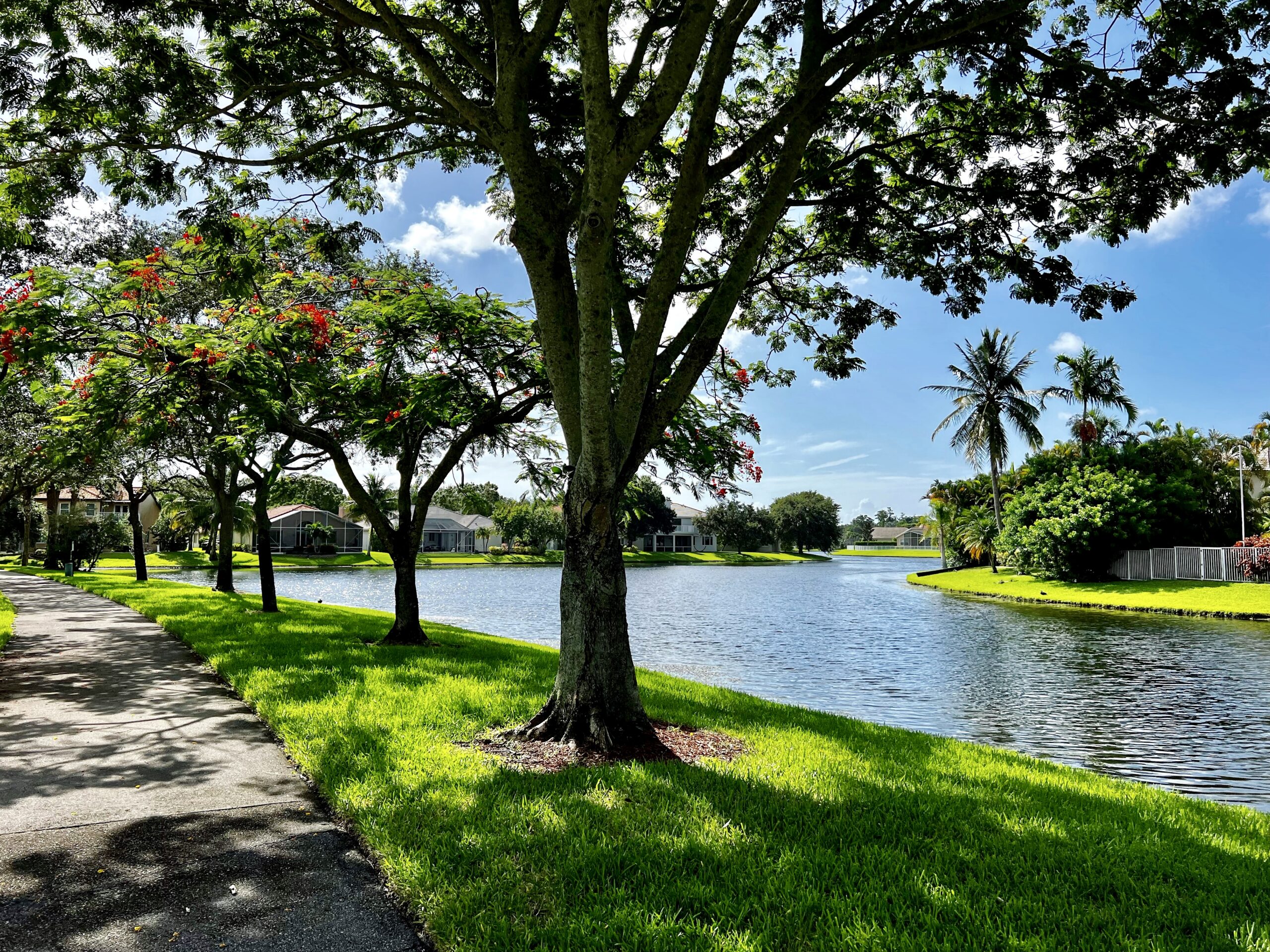 Why Coconut Creek Businesses Need Local IT Support That Understands the Community